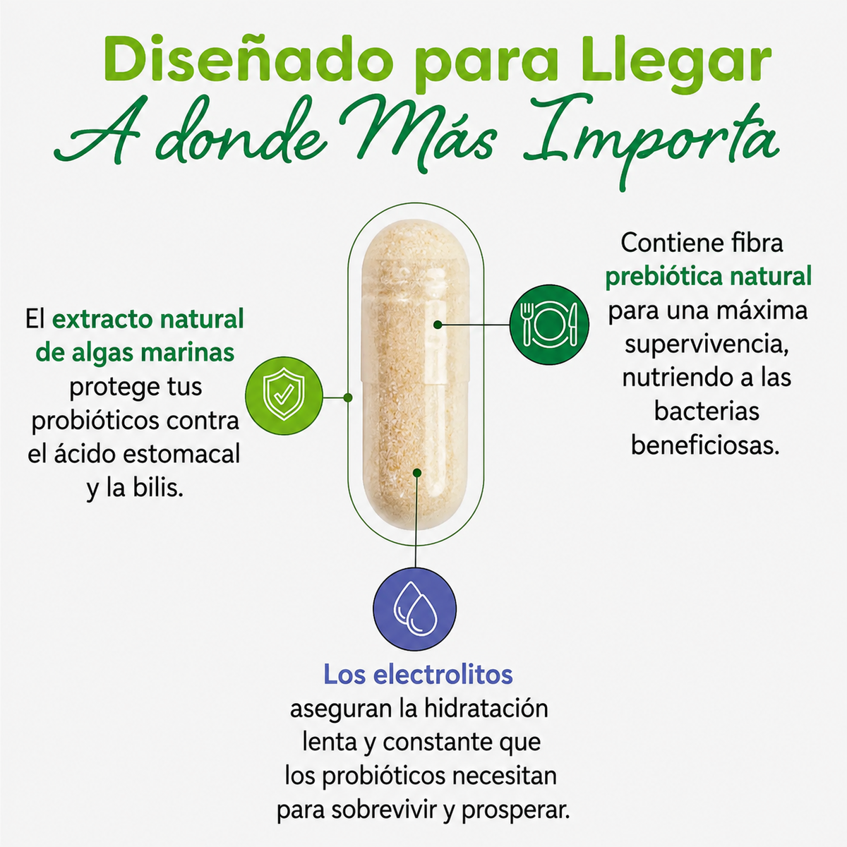 Probulín Total Care Immune Probiotic